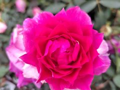 -人民公园(罗湖区)