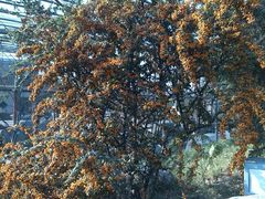 android_upload_pic-西安世博园