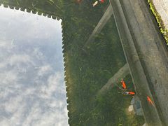 -兰亭风景区