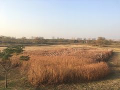 -盘龙城国家考古遗址公园