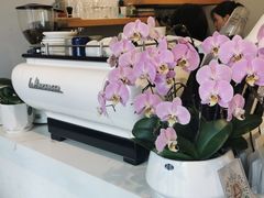 -LAB COFFEE来杯咖啡(浦仓路店)