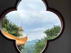 -深圳市中科院仙湖植物园