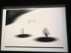 -罗红摄影艺术馆