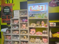 -红尾狐儿童卡丁车俱乐部(居然之家店)