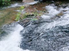 -关门山森林公园