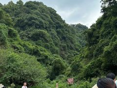 -午潮山国家森林公园