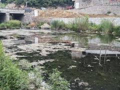 -碓臼峪自然风景区