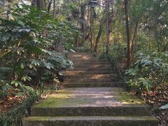 -杭州半山国家森林公园