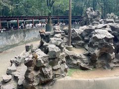 -杭州动物园