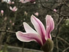 -贵阳市花溪国家城市湿地公园