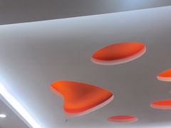 -全心全意连锁动物医院·微创中心·内科急重症·心脏专科(丰管路店)