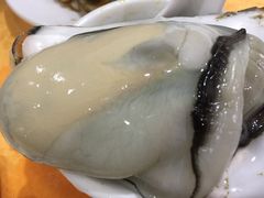 -蚝专家(北滘店)