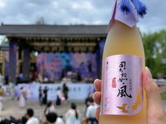 -平乐古镇