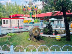 -李兰英湖南面馆(护国路店)