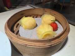 -点都德·毕德寮