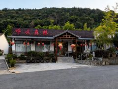 -呼吸森林·生态农庄农家乐私房菜