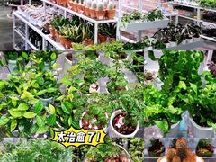 -KKV(深圳宏发大仟里店)