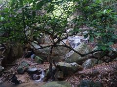 -东莞市大岭山森林公园