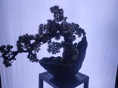 -滇铺子(欣都龙城店)