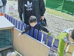 -菊园百果园