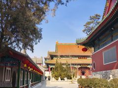 -天津大悲禅院