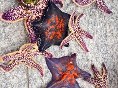 -石岛赤山风景区