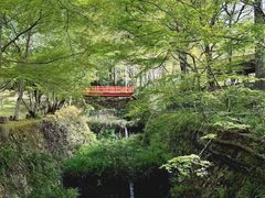 -三千院