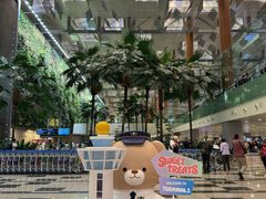 -樟宜机场免税店