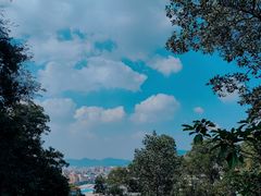 -火炉山森林公园