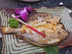 -菊上料理(蜀山银泰百货店)