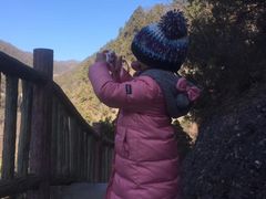 -照金香山旅游景区