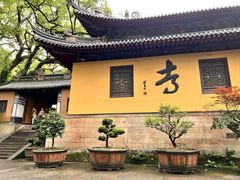 -普陀山风景名胜区-法雨禅寺