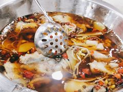 水煮鱼-听涛雅苑百味饺子老家菜馆