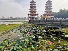 -龙虎塔