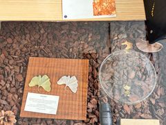 -今日艺术汇书店