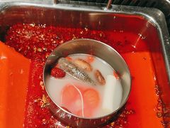 -鼎膳常火锅(华阳店)