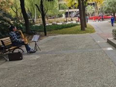 -苏州河梦清园环保主题公园