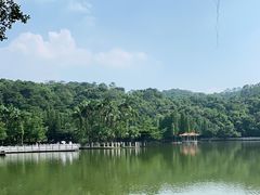 -西樵山风景名胜区-天湖公园