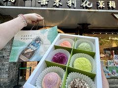 -好一朵茉莉花(老门东店)