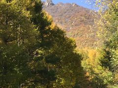 -白草畔自然风景区