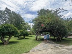 -中国科学院西双版纳热带植物园