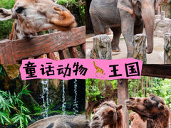 -长鹿旅游休博园