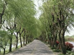 android_upload_pic-三山岛