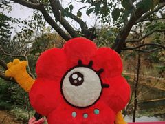 -云溪植物园