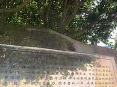 -万绿园