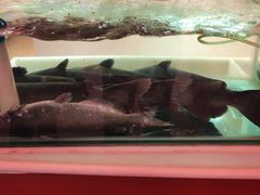 -新侗家食府(蟠桃宫店)