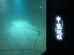 -白鹤梁水下博物馆