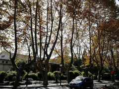 -浙江大学(玉泉校区)
