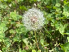 -秦始皇帝陵博物院-丽山园