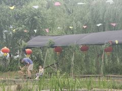 -同銮特种养殖场·龙虾垂钓